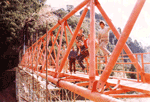 Gli inizi 1974